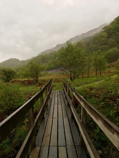 10 Of The Most Beautiful Places To Hike In The World —&nbsp;Society19