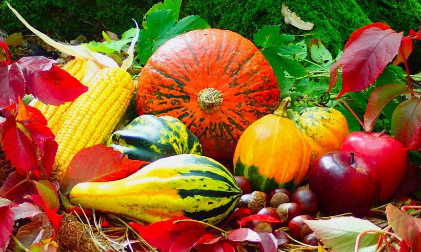 Autumn Equinox, Mea'n Fo'mhair, Mabon Customs and Practices