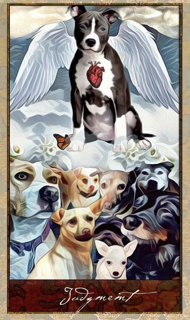 Card of the Day – Judgement – Saturday, September 28, 2019 — Tarot by&nbsp;Cecelia