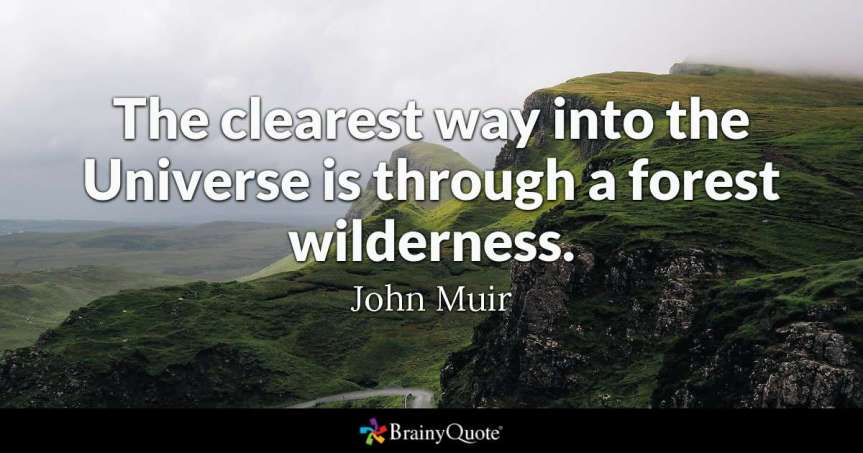 Daily Quote – Wyndesong Collectibles — Wyndesong&nbsp;Collectibles