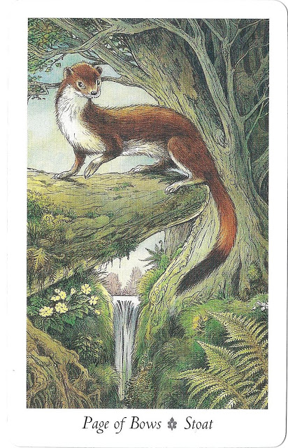 Tarot for Today – Page of Wands – Thursday, September 26, 2019 – Tarot by Lady Dyanna — Ravenhawks’ Magickal Mystical&nbsp;Places