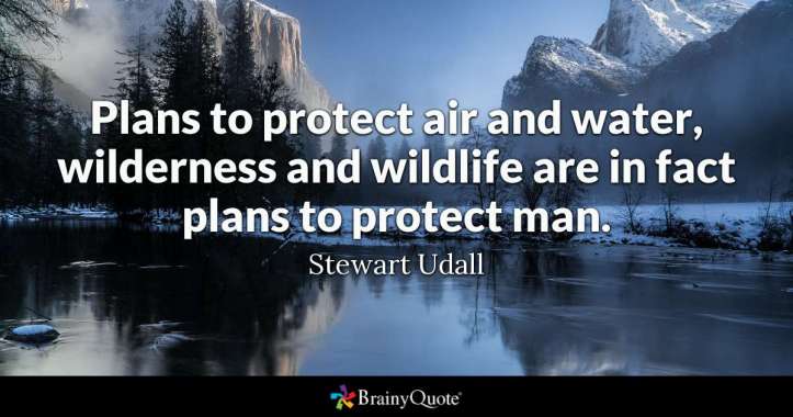 Environmental Quote