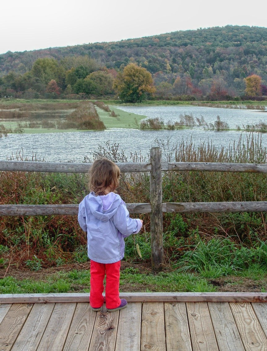 2004_1016LibertyLoop0026