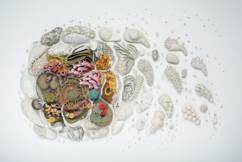 Courtney Mattison: Ocean advocate and artist using ceramics to depict the fragile beauty of coral reefs and threats it faces — Life & Soul&nbsp;Magazine