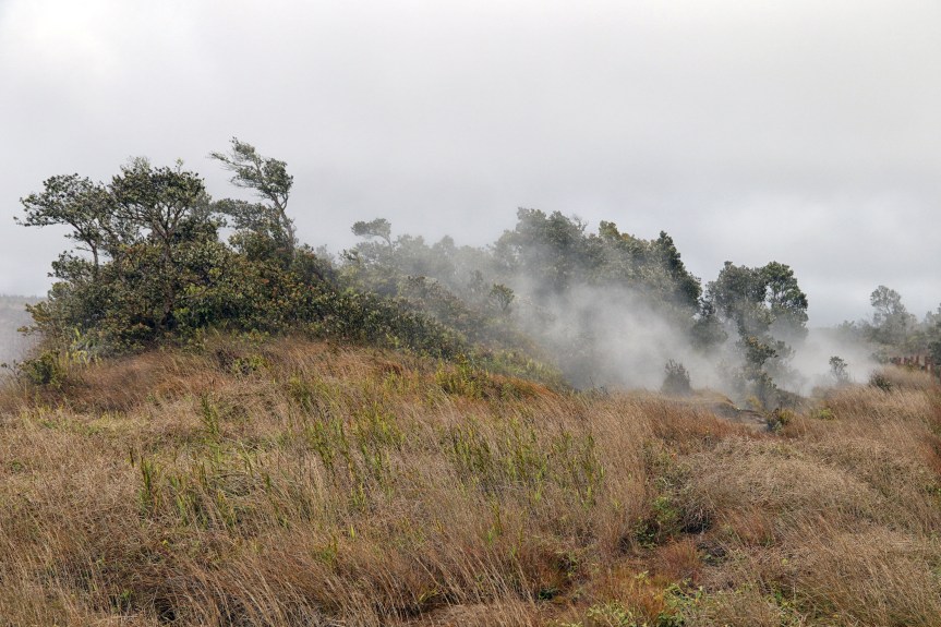 Hawaiʻi Volcanoes National Park: Steam&nbsp;Vents