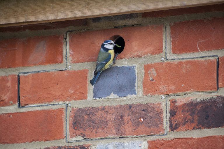 Bird Brick Houses: Bespoke bricks providing permanent nesting sites and enclosures to nurture wildlife — Life & Soul&nbsp;Magazine