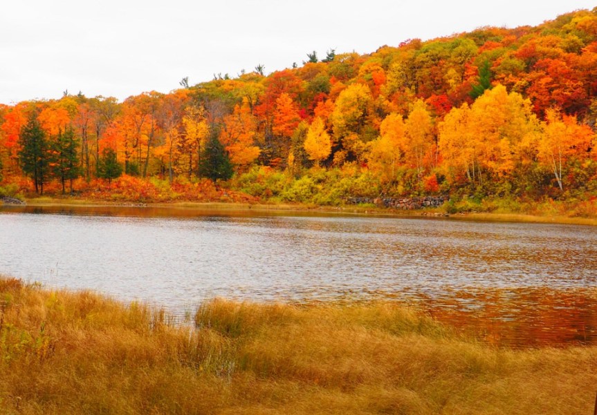 2019 Fall Rhapsody: A Superabundance of  Autumn Colours in Canada’s National Capital Region, Ottawa and Gatineau, that no  City in the World can (Ever) Match — Simerg Photos – Photos, Images and Videos from Around the World — Wyndesong&nbsp;Collectibles