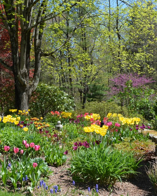 How to Plant Bulbs in Fall for Spring and Summer&nbsp;Blooms