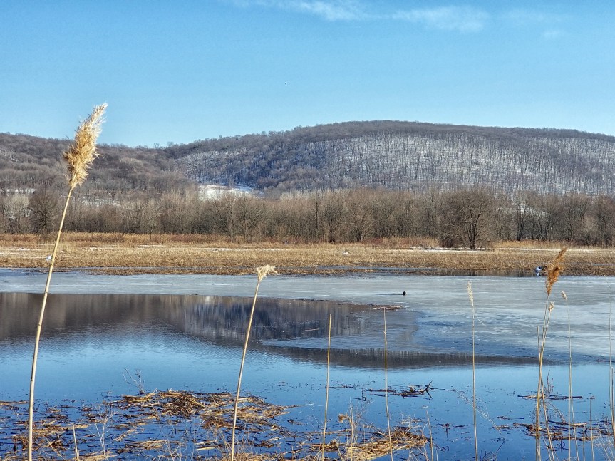 Walkill River National Wildlife Refuge: Liberty Loop Trail&nbsp;Revisited