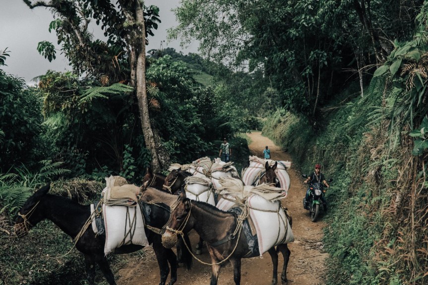 Eco-Friendly Colombia Coffee Farming On The Steep Hills Of Sierra Nevada — Edge of Humanity&nbsp;Magazine