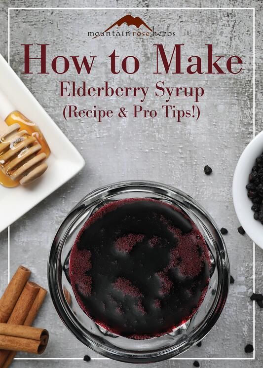 How to Make Elderberry Syrup for Immune Health — Good Witches&nbsp;Homestead