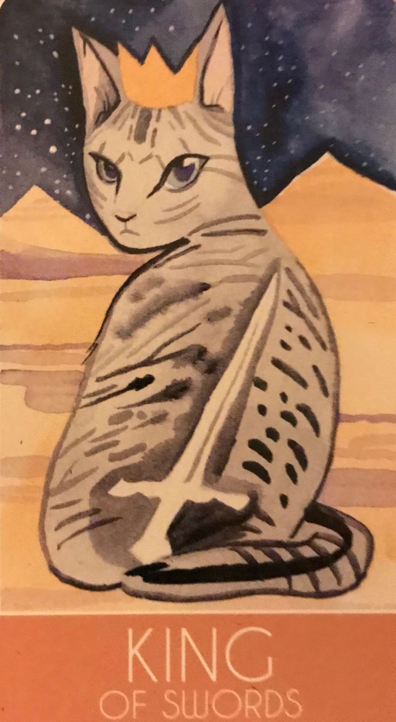 Card of the Day – King of Swords – Tuesday, November 12, 2019 — Tarot by&nbsp;Cecelia