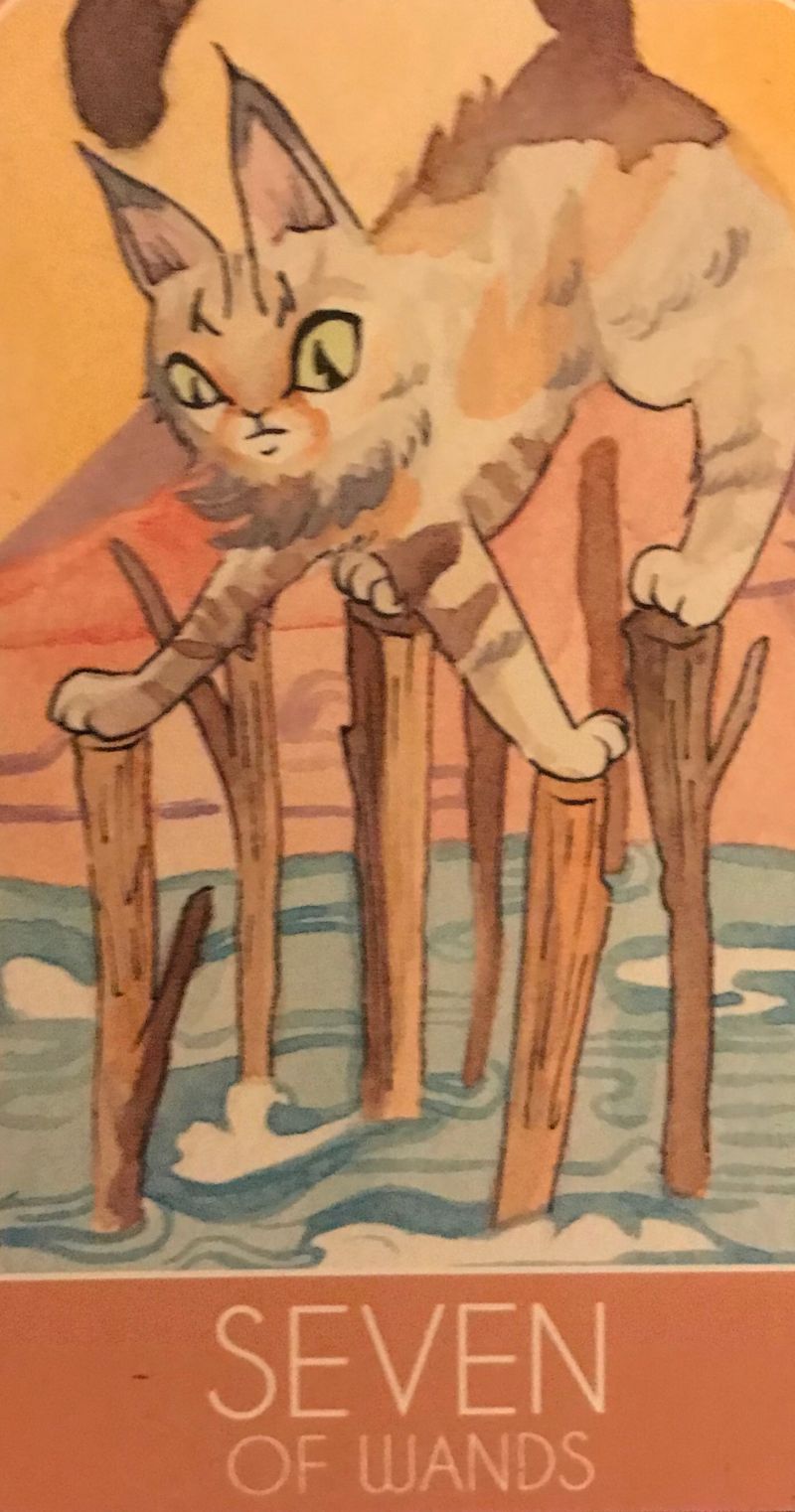 Card of the Day – 7 of Wands – Thursday, November 21, 2019 — Tarot by&nbsp;Cecelia