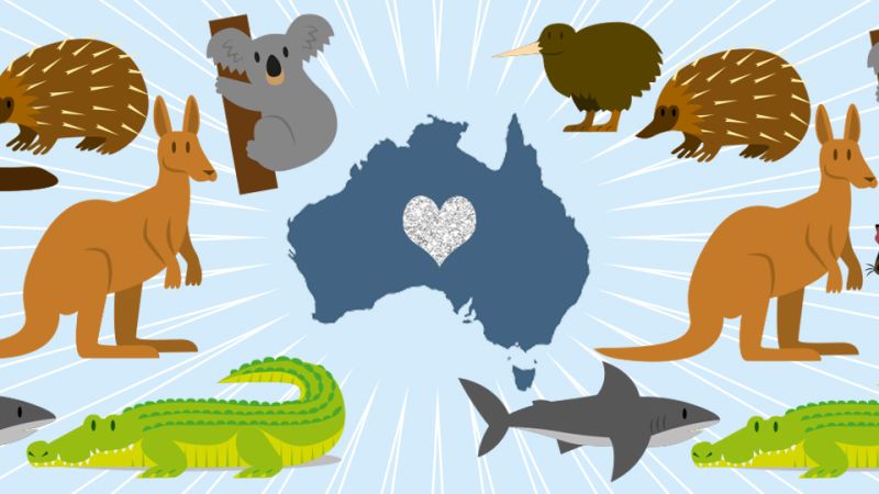 95% of Koalas Are Gone—Here’s How to Help the Animals Impacted by the Australian Wildfires —&nbsp;StyleCaster