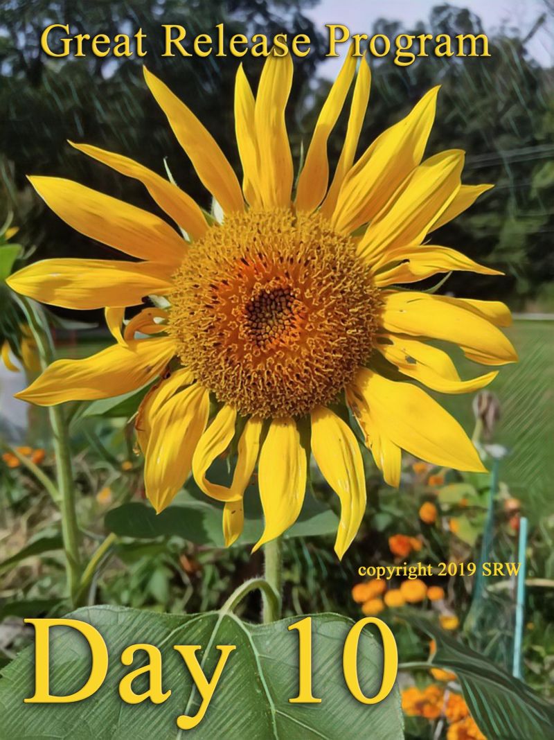 Day 10 – Great Release Program – Friday – 10 January by Silver RavenWolf — Silver&nbsp;RavenWolf