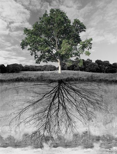 Astrum Medicum: Mars in Sagittarius January 3rd, 2020- February 16th,&nbsp;2020