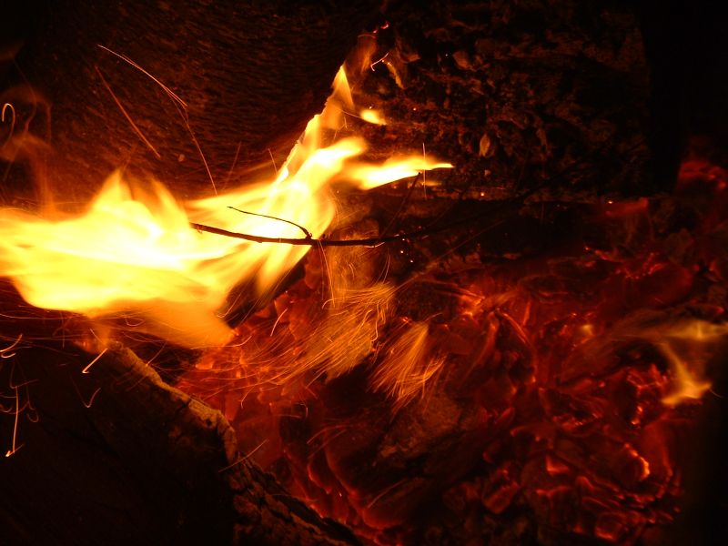 Ritual for the Burning of the World — The Druid’s&nbsp;Garden