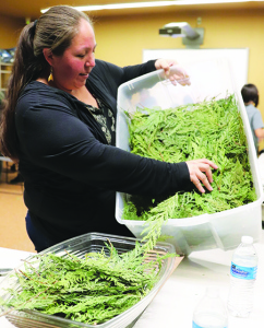 Learning the medicine of Native plants by Kalvin Valdillez —&nbsp;LRInspire