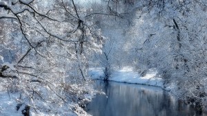 Weekly Spell Casting February 3, 2020 – February 9, 2020, gives you the optimal time to do specific spells and activities