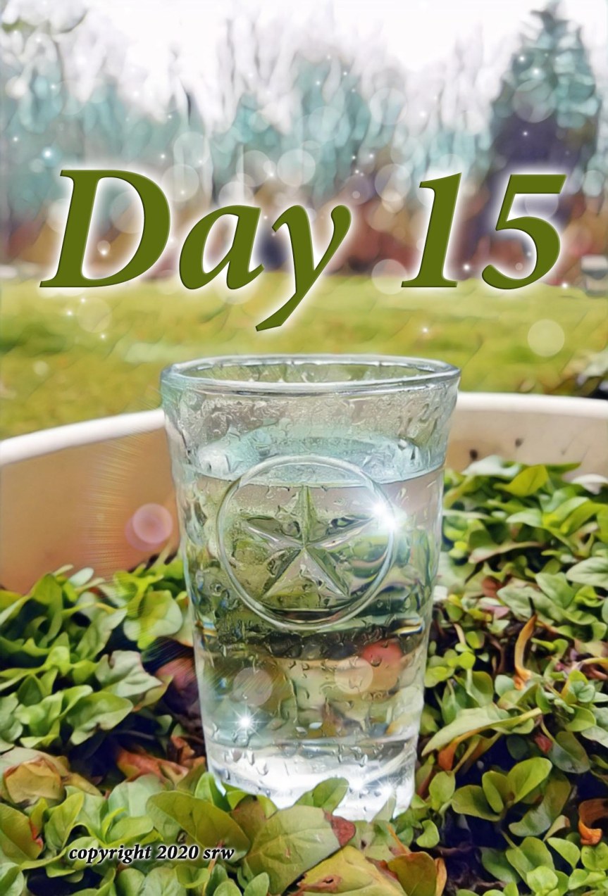 Day15
