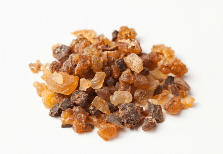 Health Benefits of Myrrh  {Commiphora molmol syn. C. myrrha} — Crooked Bear Creek Organic&nbsp;Herbs