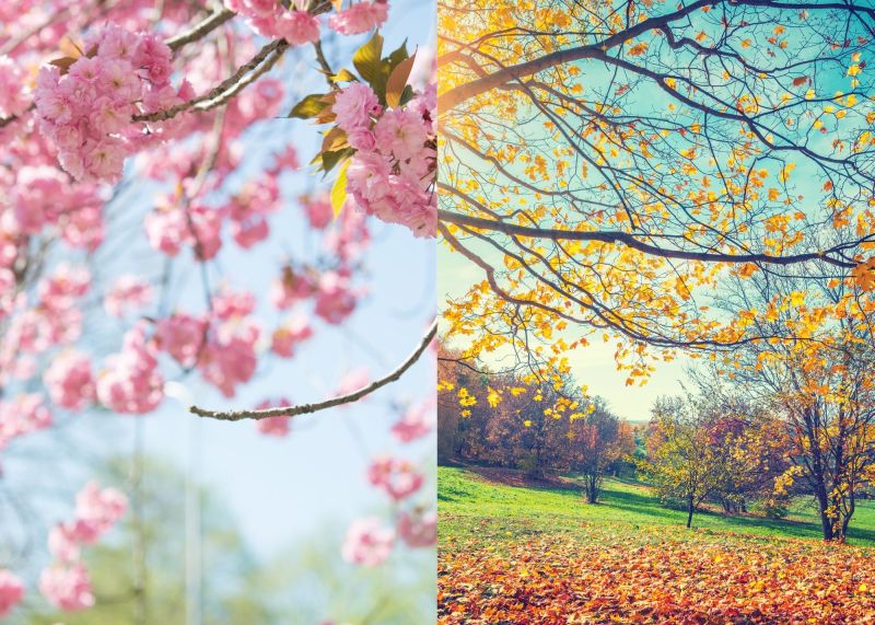 Equinox Invocation for Both Hemispheres — Tess&nbsp;Whitehurst