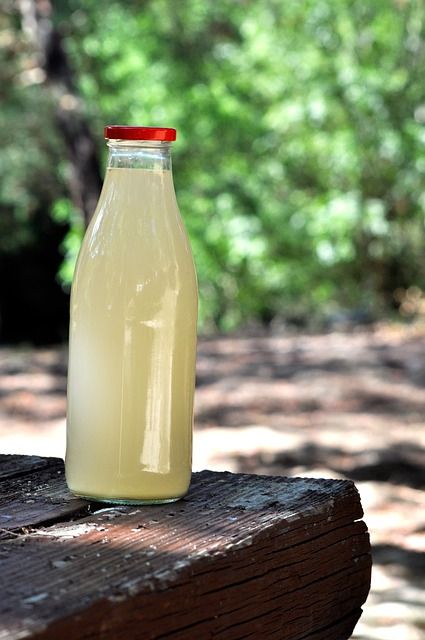 Recipe: Ginger Beer — Life & Soul&nbsp;Magazine