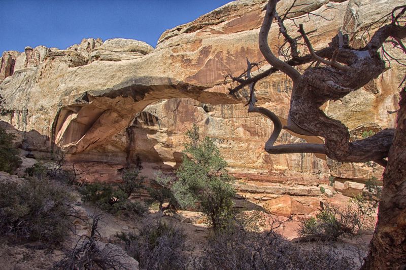 Capitol Reef -Hickman Bridge : Featured on JustGoTravelStudios.com — National Parks With&nbsp;T