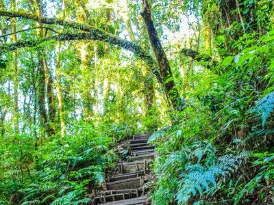 Walking the Spiritual Path Day 7 — Lady Kamberlyn…. intuitive guidance and spiritual&nbsp;advice