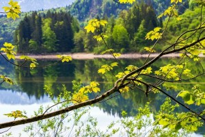 Weekly Spell Casting May 4, 2020 – May 10, 2020, gives you the optimal time to do specific spells and activities