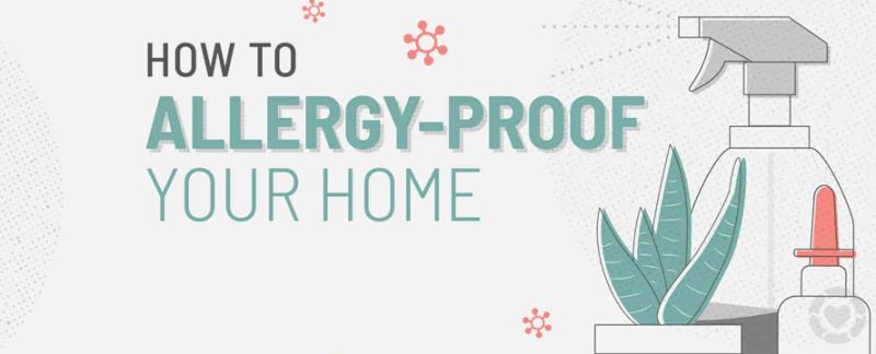 How to Allergy-Proof your Home [Visual] —&nbsp;ecogreenlove