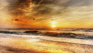 Weekly Spell Casting June 29, 2020 – July 5, 2020, gives you the optimal time to do specific spells and activities