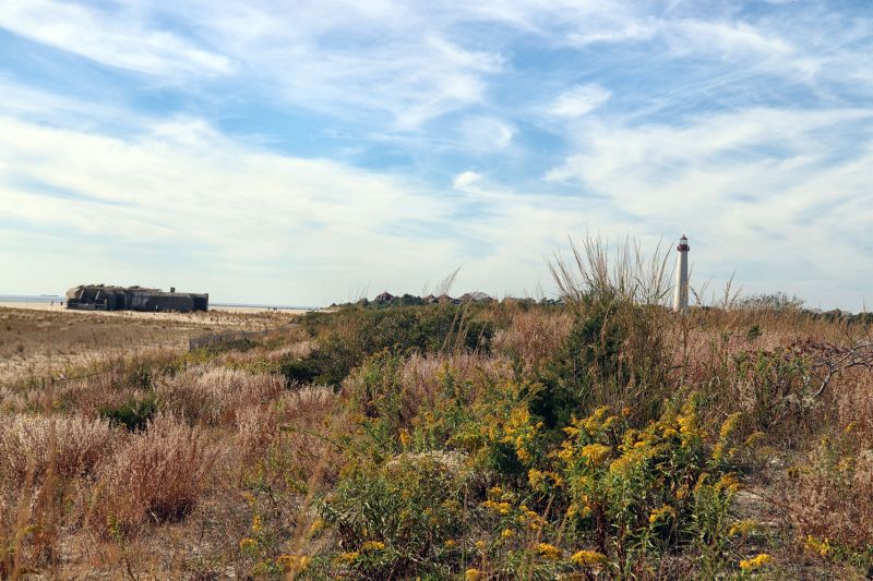 Cape May Point State Park — National Parks With&nbsp;T
