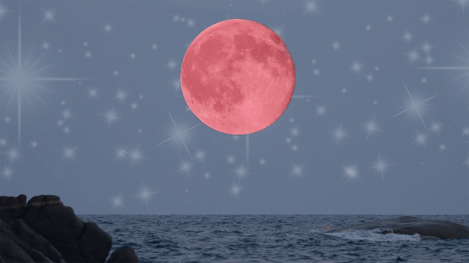 The New Moon In Cancer Brings A Tidal Wave Of Emotions —&nbsp;StyleCaster