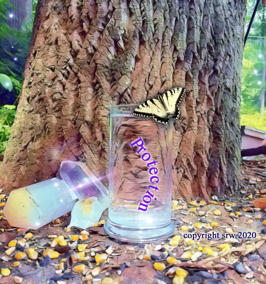 Day 80 – Earth, Water, Tree&nbsp;Meditation