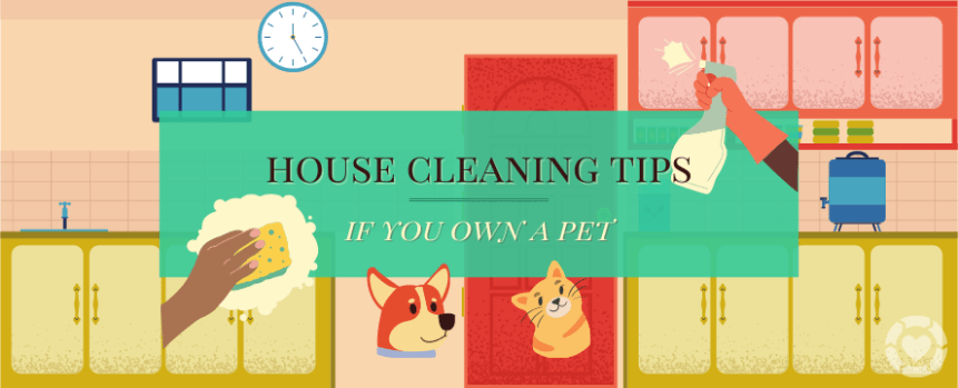 Eco-friendly house cleaning tips if you own a&nbsp;pet