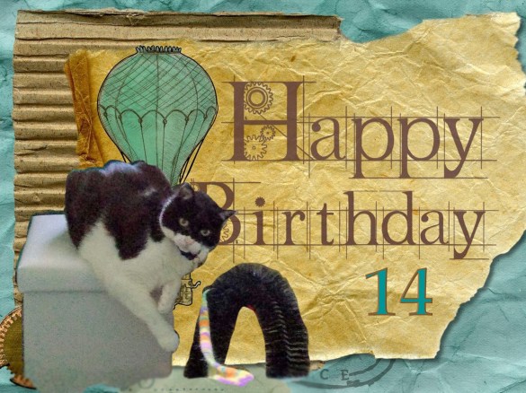 Crystal happy birthday 14