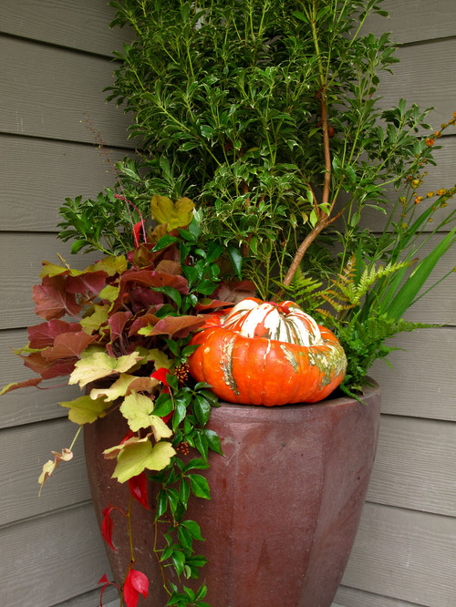 Get Ready for Fall With a Touch of Nature at Your&nbsp;Door