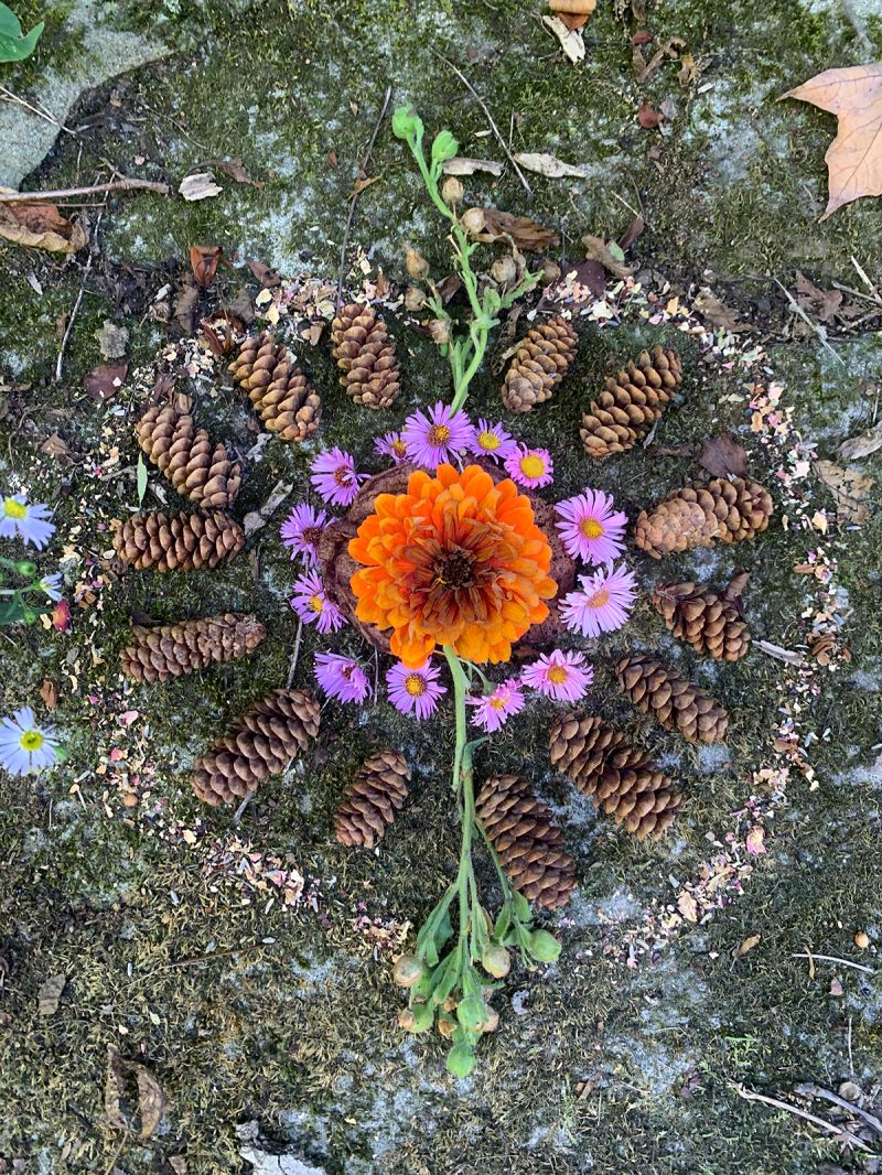 Nature Mandalas for Inner Work, Rituals, and Blessings — The Druid’s&nbsp;Garden
