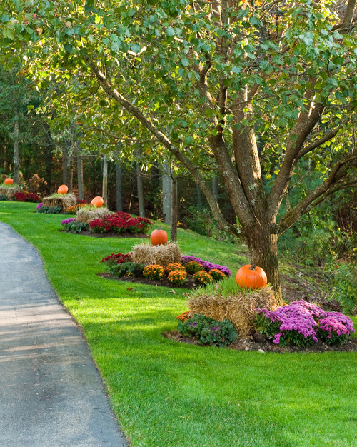 Celebrate Fall With 9 Nature-Themed Outdoor&nbsp;Decorations