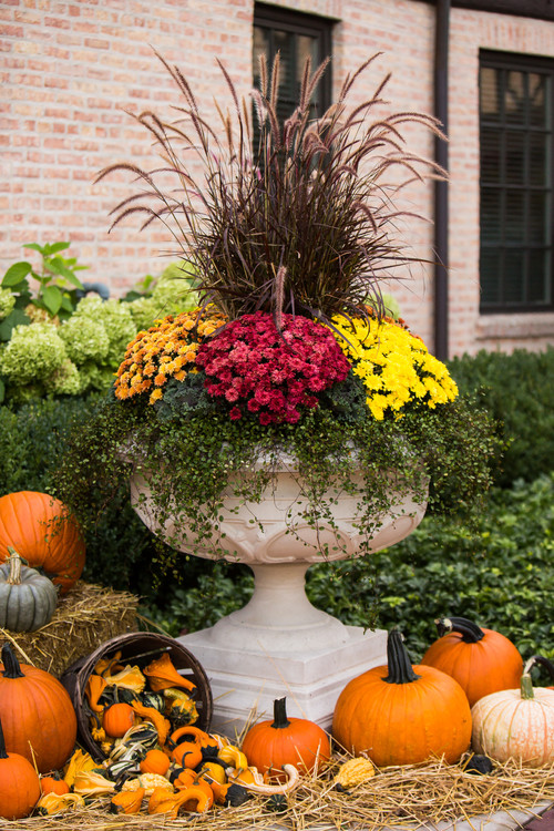 15 Entryways That Celebrate Fall With Dazzling&nbsp;Color