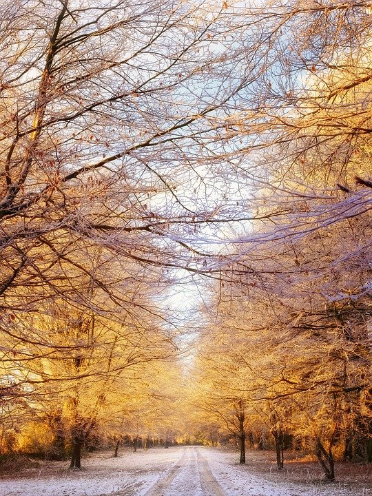 Weekly Spell Casting November 30, 2020 – December 6, 2020, gives you the optimal time to do specific spells and activities