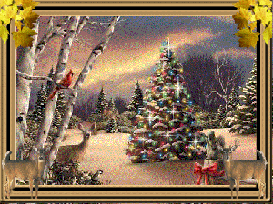 Winter Solstice 2023