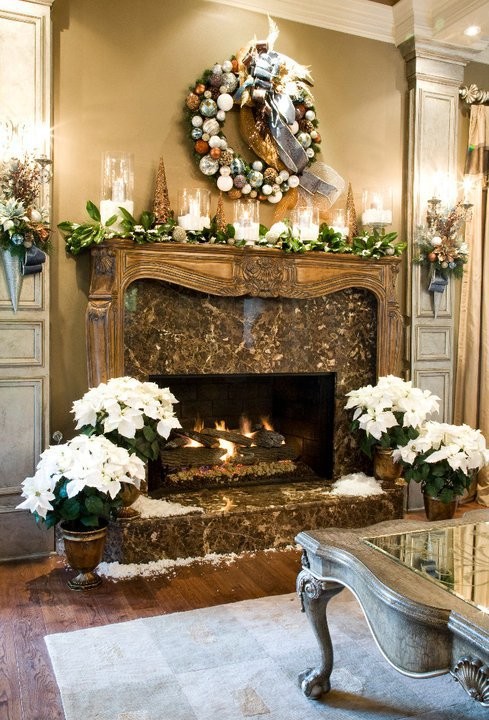 How to Keep Your Gift Plants Happy After the&nbsp;Holidays