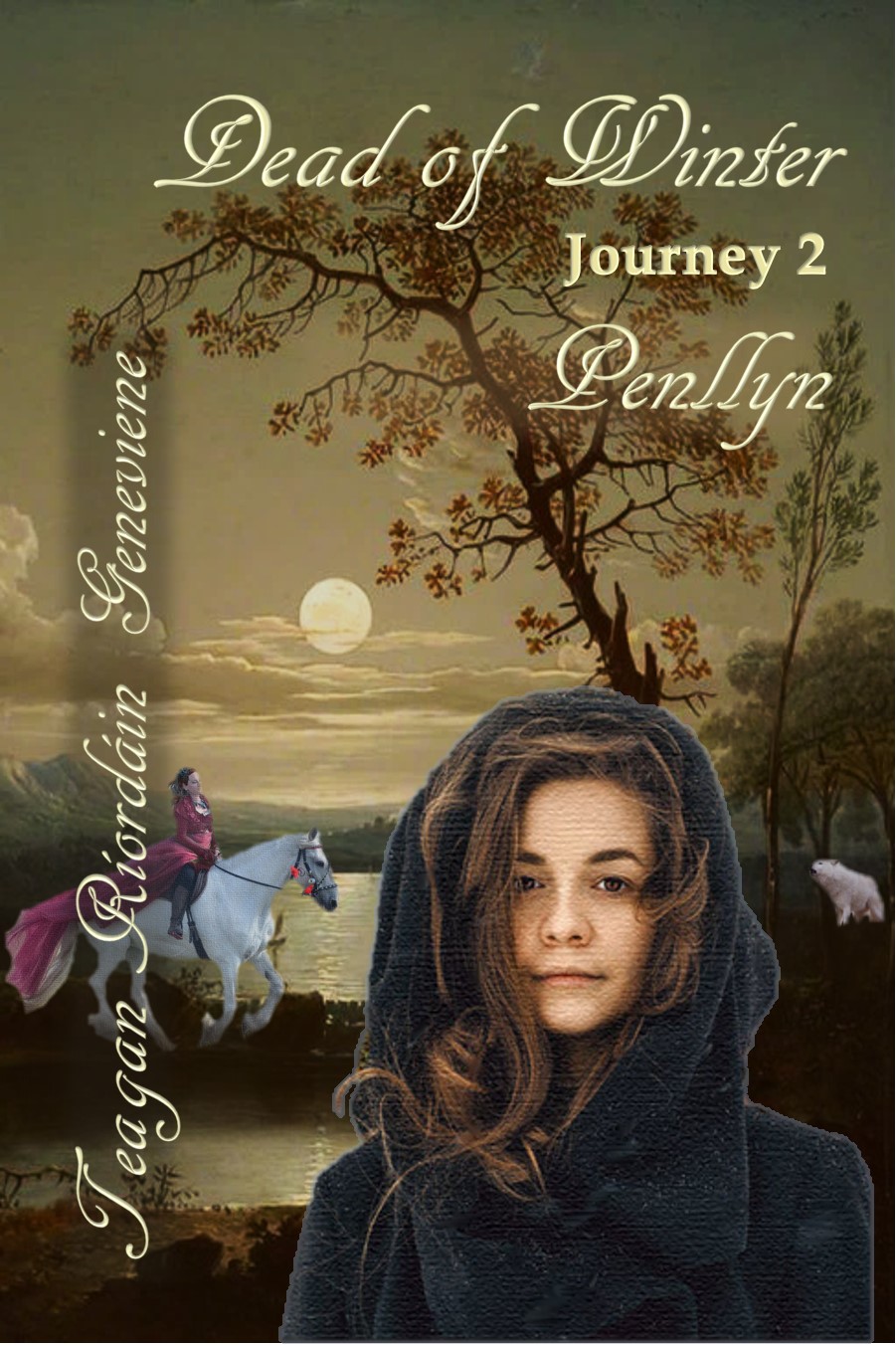 Dead of Winter: Journey 2, Penllyn. Cover by Teagan R. Geneviene