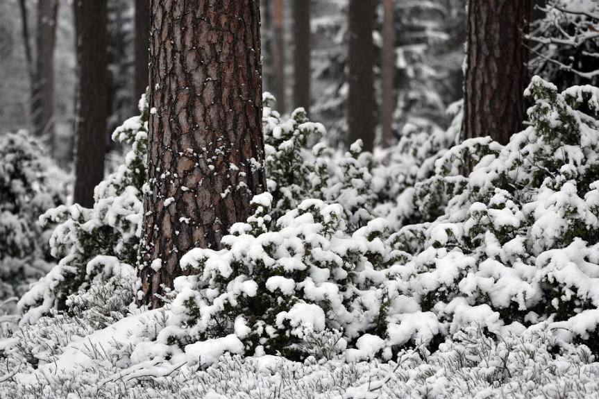 Weekly Spell Casting February 22, 2021 – February 28, 2021, by Lady Dyanna