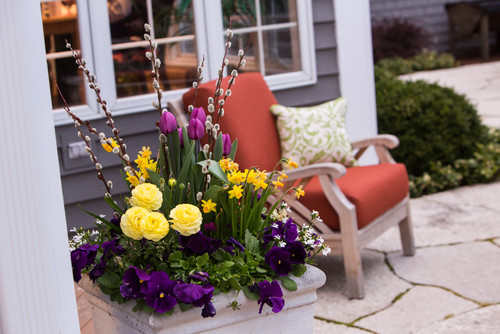 9 Beautiful Early Spring Container&nbsp;Gardens