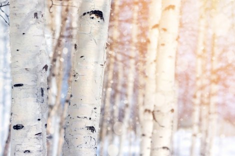 How to Press the Reset Button on Life After Difficult Time