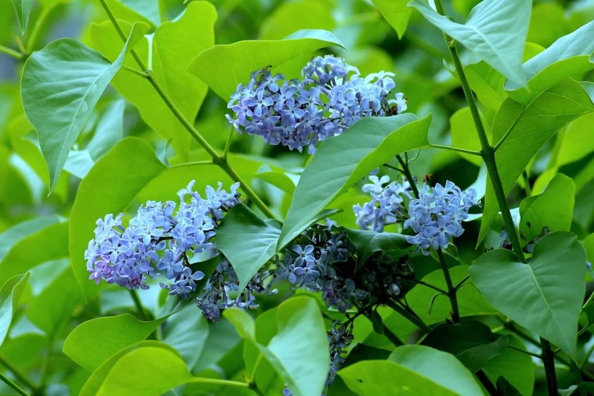 Weekly Spell Casting May 3, 2021 – May 9, 2021, gives you the optimal time to do specific spells and activities