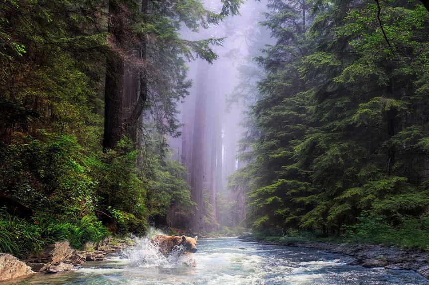 Litha Customs and&nbsp;Traditions